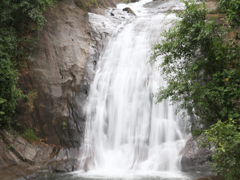 A tall waterfall falling through dense jungle
